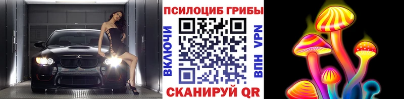 Псилоцибиновые грибы MAGIC MUSHROOMS  Курлово 
